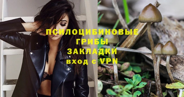 apvp Абдулино