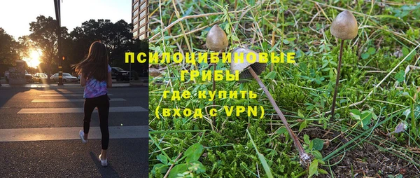 apvp Абдулино