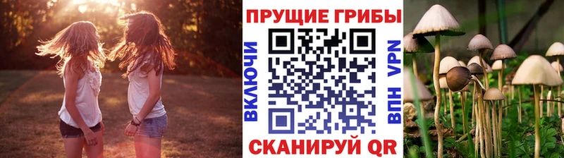 продажа наркотиков Ирбит Галлюциногенные грибы Cubensis